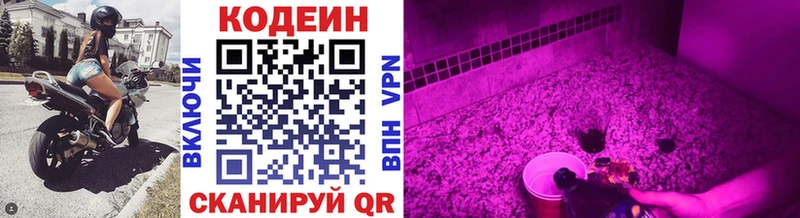 даркнет сайт  hydra ССЫЛКА  Codein Purple Drank  Иннополис 