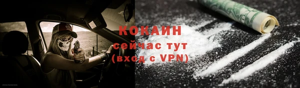 дживик Вязьма