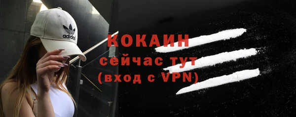 apvp Ельня