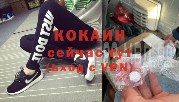 ешки Аркадак