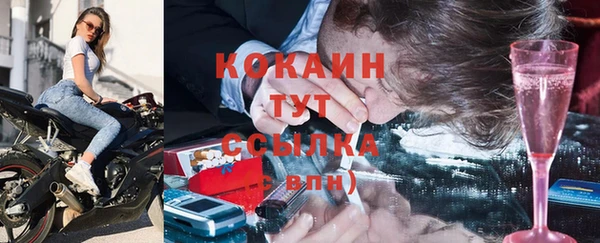 ешки Аркадак