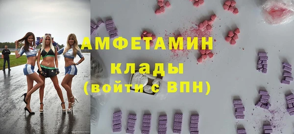 ешки Аркадак