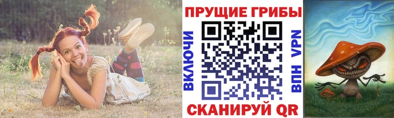 как найти наркотики  Иннополис  блэк спрут онион  дарк нет состав  Галлюциногенные грибы Cubensis 
